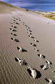 tracking article marketing
