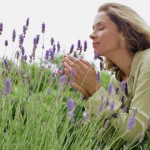 woman smelling lavender