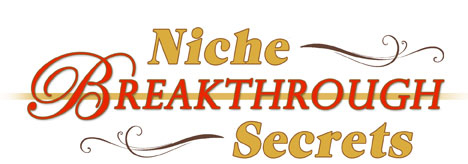 niche breakthrough secrets vip day
